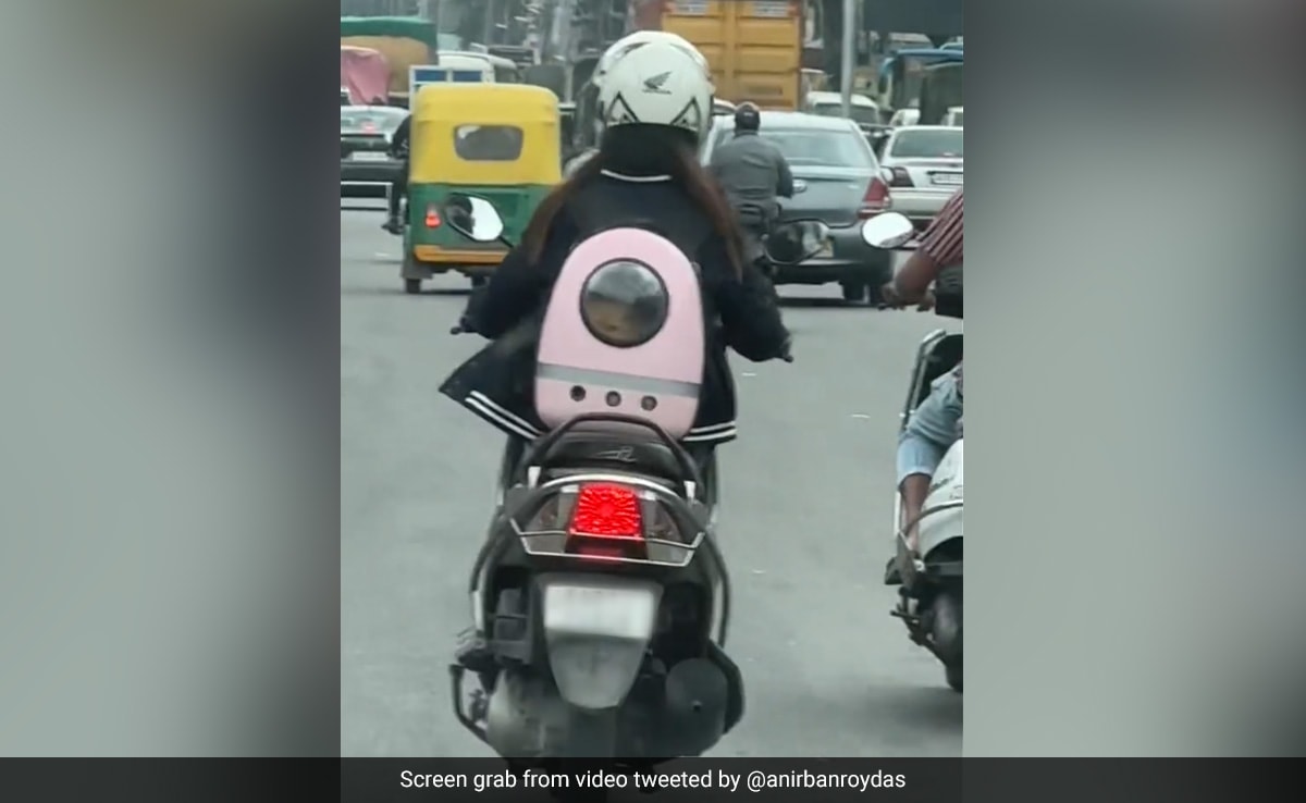 Video: Bengaluru Woman Shows Best Option Of Pet Care During Work Hours Video: Bengaluru Woman Shows Best Option Of Pet Care During Work Hours