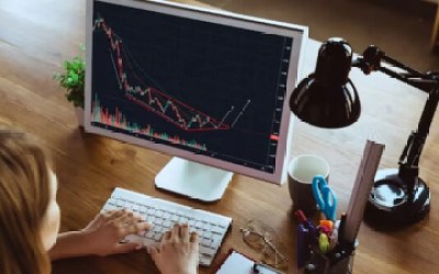 Indias agrochemical exports set for moderate rebound in FY25: Rubix report | Stock Market News