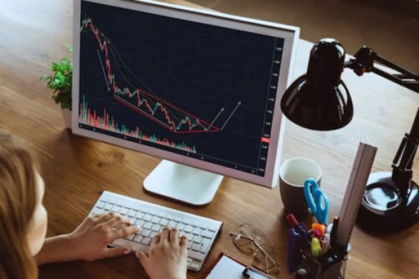 Indias agrochemical exports set for moderate rebound in FY25: Rubix report | Stock Market News