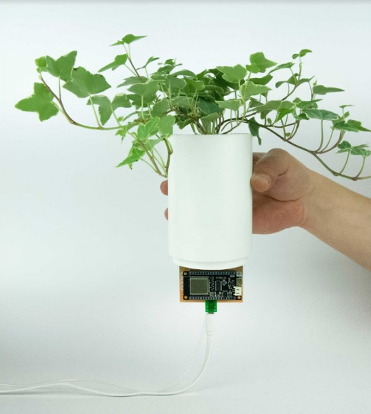 1615985409 276 Creo unveils AI based BioBulb for indoor plant walls