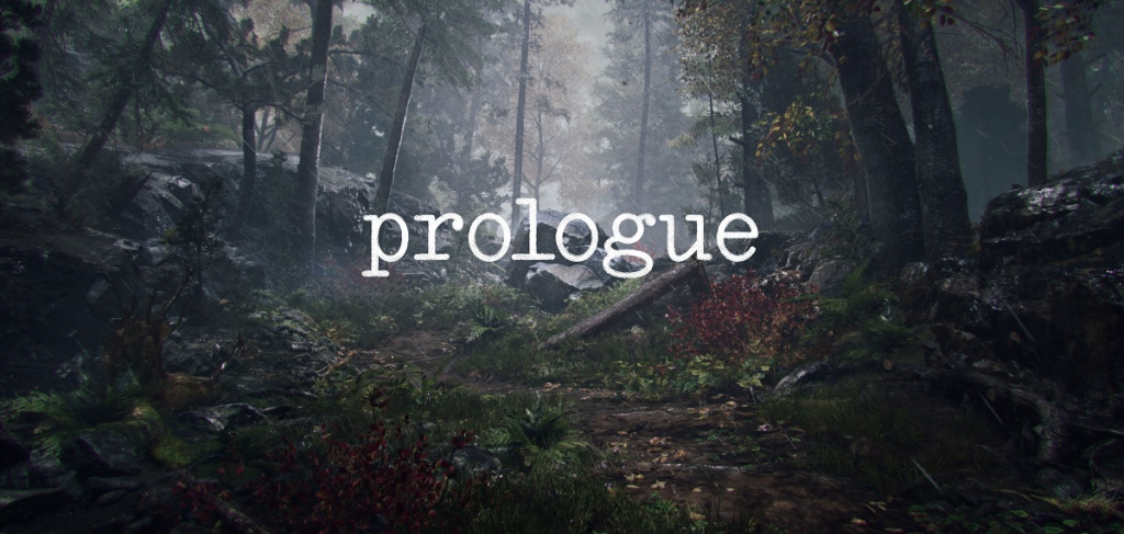 Prologue is Brendan Greene's next project.