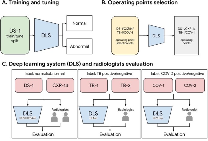 deep learning chest radiograph abnormality detection
