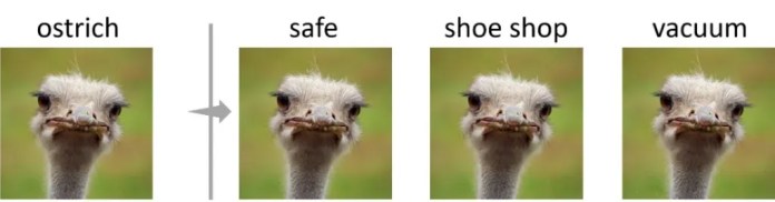 ostrich adversarial example